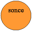 Oval: sonce
